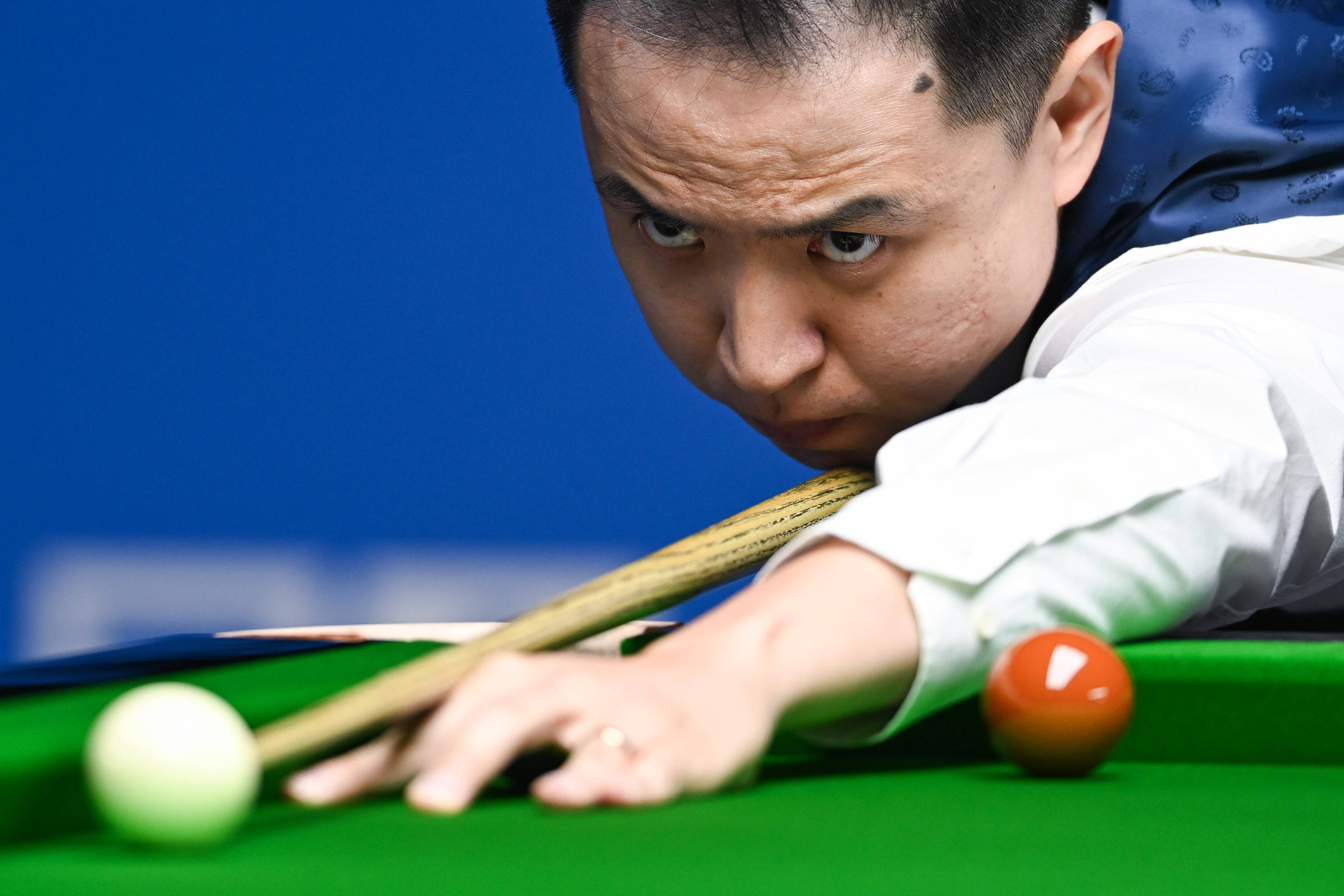 未来的新希 未来的新希